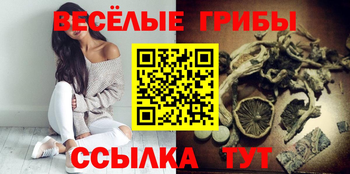 Камышин  Галлюциногенные грибы Cubensis  Вход с VPN 
