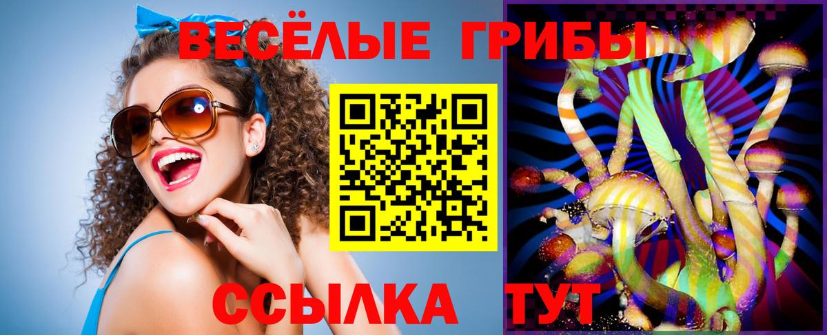 Галлюциногенные грибы MAGIC MUSHROOMS Камышин
